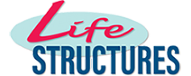 Life Structures - Statiker